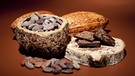 Kakaobohnen, Kakaofrucht und dunkle Schokolade - eine perfekte Mischung. | Bild: picture alliance / imageBROKER