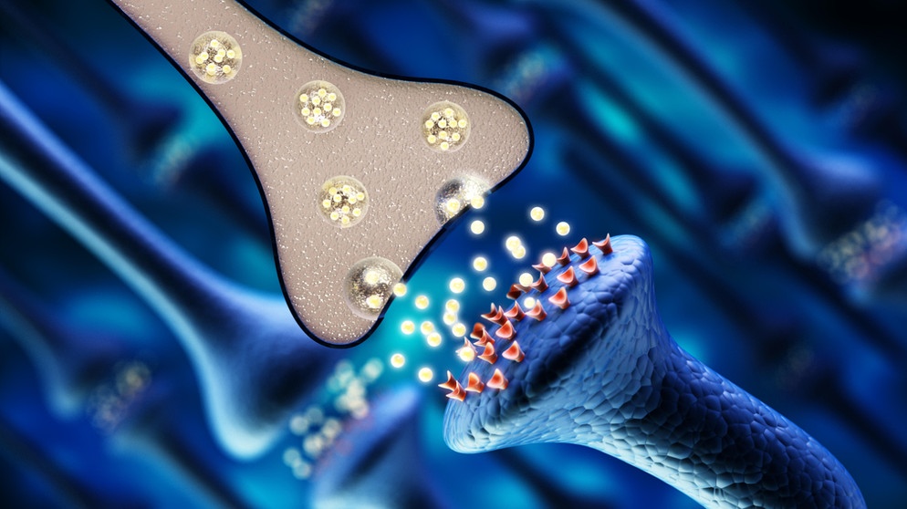 Grafik Nervenzelle Übertragung an der Synapse | Bild: picture-alliance/dpa/Zoonar | Cigdem Simsek