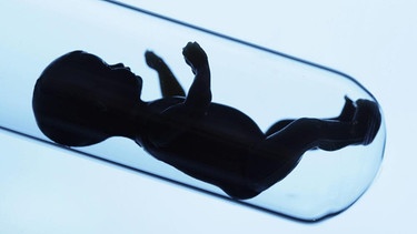 Babypuppe in einem Reagenzglas | Bild: picture alliance/Ulrich Baumgarten