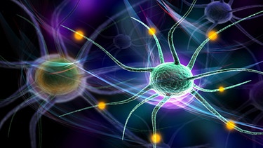 Menschliche Nervenzelle | Bild: colourbox.com