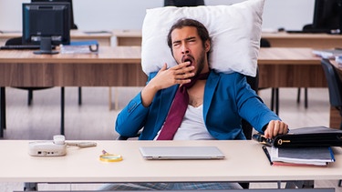 Eulen und Lerchen: Eulen würden morgens gerne länger schlafen, als es gesellschaftlich verträglich ist.  | Bild: picture alliance / Zoonar | Elnur Amikishiyev