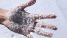 Eine Hand im Schnee: Die Haut spürt mit Tastkörperchen, ob etwas kalt oder warm ist. | Bild: colourbox.com