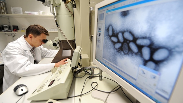 Die Erfolgsgeschichte der Impfung geht immer weiter - im Bild: Labormitarbeiter schaut durchs Mikroskop  | Bild: picture-alliance/dpa