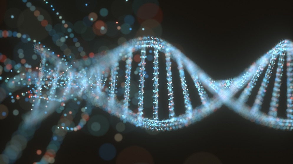 3D-Grafik eines DNA-Moleküls. Können wir Menschen bald schon viel länger und gesünder leben? Wir erklären euch aussichtsreiche wissenschaftlichen Entdeckungen der Alternsforschung für ein gesundes Altern und ein längeres Leben. | Bild: colourbox.com/Kiyoshi Takahase Segundo
