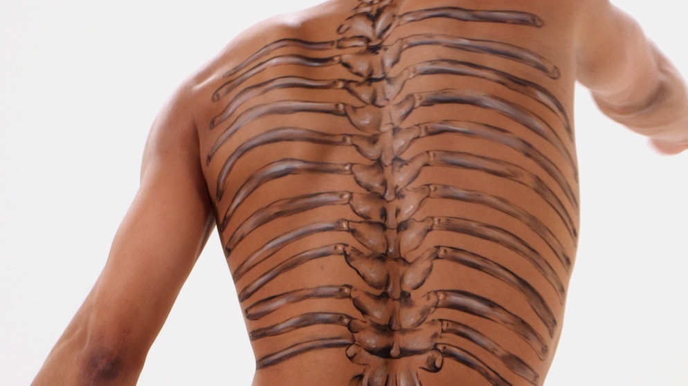 Rücken mit aufgemalter Wirbelsäule: Rückenschmerzen: 80 Prozent der Deutschen haben sie einmal im Leben. Wie man sie los wird, darum ranken sich hartnäckige Mythen. Was hilft: schonen, Schmerzmittel einnehmen oder nur eine OP? Wir klären Irrtümer auf. | Bild: BR