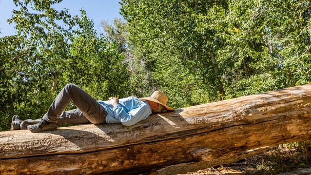 Ein Mann schläft tagsüber auf einem Baumstamm. Wir erklären, warum wir Schlaf brauchen - und wie lange ihr im besten Fall schlafen solltet, um gut erholt zu sein. | Bild: picture alliance / Bildagentur-online/Tetra Images- | Bildagentur-online/Tetra Images-Steve Smith