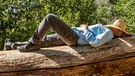 Ein Mann schläft tagsüber auf einem Baumstamm.  | Bild: picture alliance / Bildagentur-online/Tetra Images- | Bildagentur-online/Tetra Images-Steve Smith