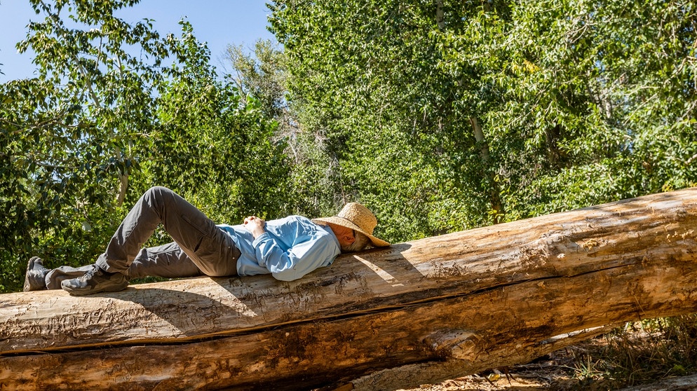 Ein Mann schläft tagsüber auf einem Baumstamm. Wir erklären, warum wir Schlaf brauchen - und wie lange ihr im besten Fall schlafen solltet, um gut erholt zu sein. | Bild: picture alliance / Bildagentur-online/Tetra Images- | Bildagentur-online/Tetra Images-Steve Smith