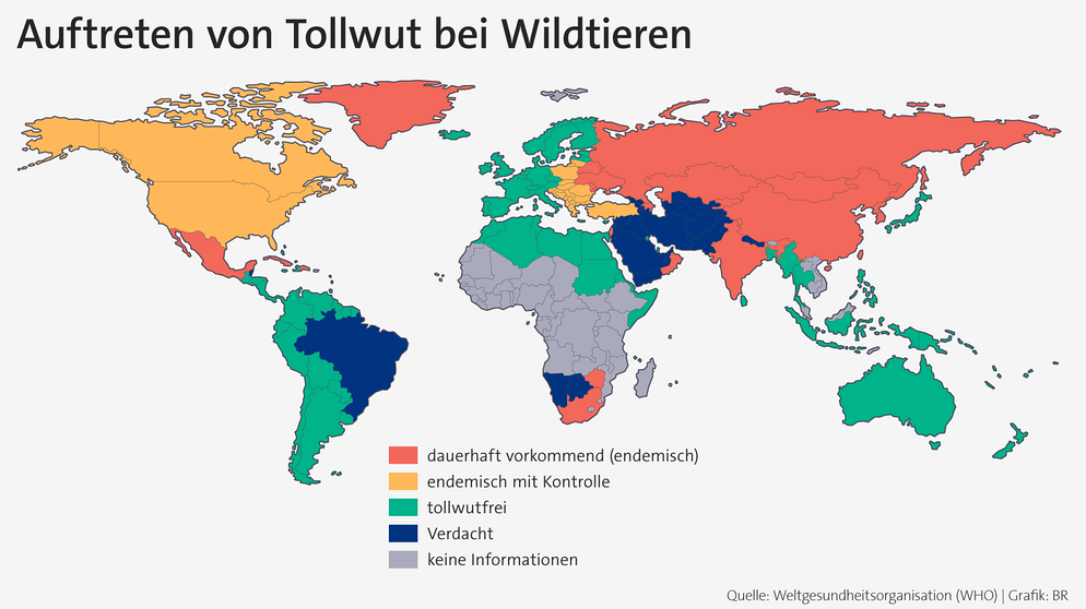 Weltkarte, die mit unterschiedlichen Farben markiert, in welchem Land Tollwut vorkommt. | Bild: WHO | Grafik BR