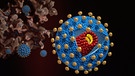HI-Virus - Ansteckung mit Aids | Bild: picture-alliance/dpa/Bruce Coleman/Photoshot.