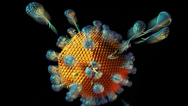 Illustration: HI-Virus | Bild: picture-alliance/dpa