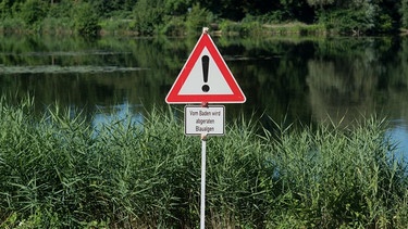 Schild an einem Gewässer warnt vor Blaualgen | Bild: dpa-Bildfunk/Julian Stratenschulte