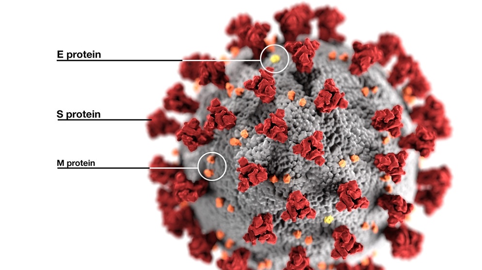 Proteine von SARS-CoV-2 | Bild: picture alliance/newscom