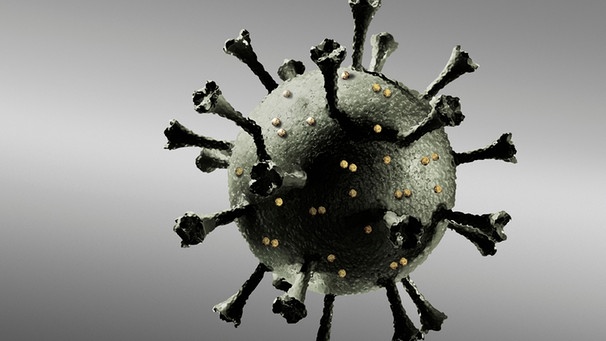 3D-Illustration: Coronavirus  | Bild: picture-alliance/dpa