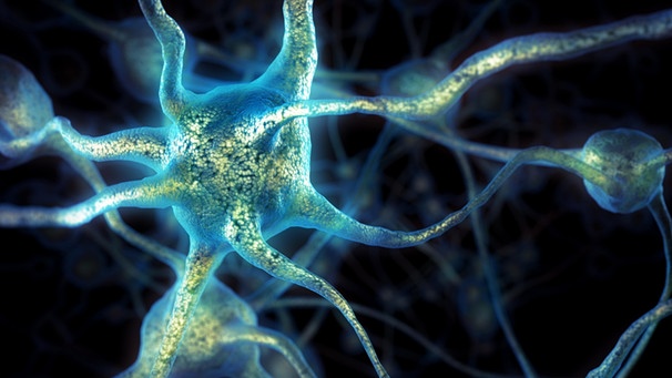 MS schädigt die Nervenzellen | Bild: picture-alliance/dpa