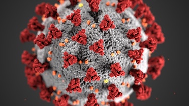 SARS-CoV-1-Virus, Symbol für die Corona-Pandemie, die 2019 in China begann. | Bild: picture alliance/CDC