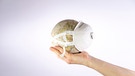 Weltkugel mit Maske. Wie können wir für die nächste Pandemie vorsorgen? | Bild: colourbox.com