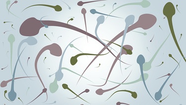 Illustration: Mehrere bunte Spermien. Wir erklären euch, ob Spermien in der Krise sind und wie eine Befruchtung abläuft. | Bild: colourbox.com