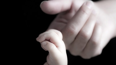 Eine erwachsene Hand nimmt den Finger eines Babys. Der Tastsinn bildet sich als erster Sinn in der Entwicklung aus.  | Bild: picture-alliance/dpa/Christian Vorhofer