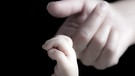 Eine erwachsene Hand nimmt den Finger eines Babys. Der Tastsinn bildet sich als erster Sinn in der Entwicklung aus.  | Bild: picture-alliance/dpa/Christian Vorhofer