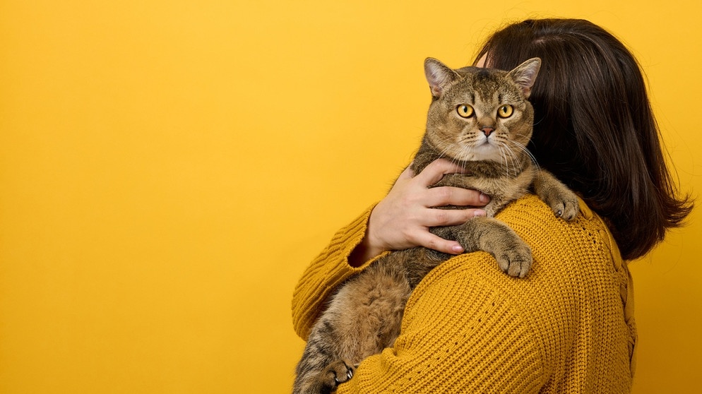 Frau in einem gelben Pullover kuschelt mit einer Katze. | Bild: picture alliance / Zoonar | DANK0 NN