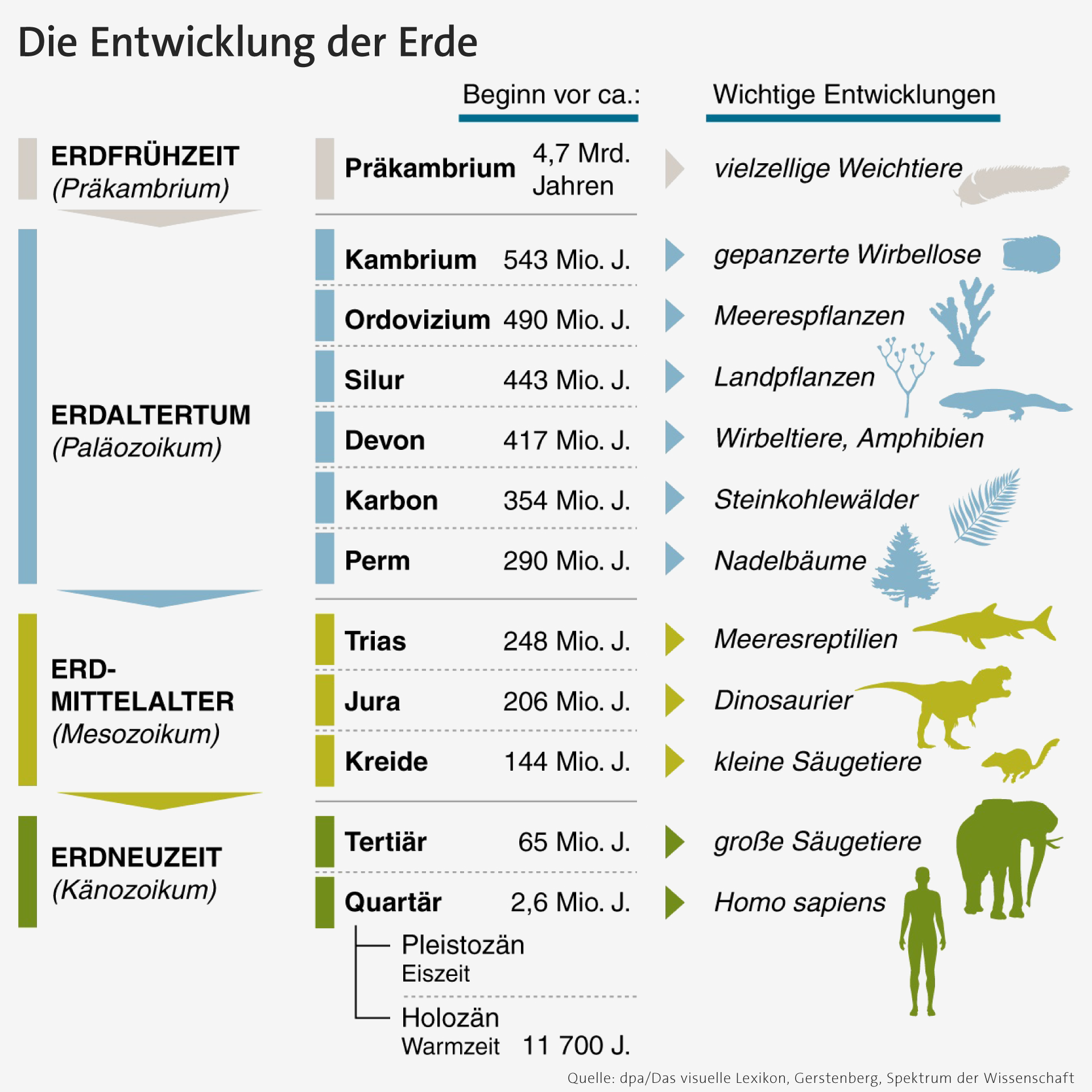Infografik: Erdzeitalter und jeweils wichtigste biologische Entwicklungen | Bild: picture-alliance/dpa