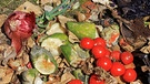 Vergammelte Lebensmittel auf dem Müll | Bild: colourbox.de