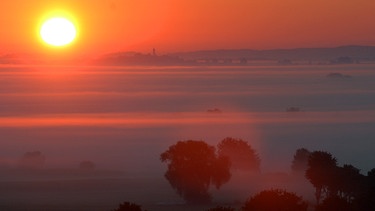 Sonnenaufgang im Donaumoos | Bild: picture-alliance/dpa