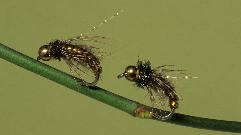 Mimikry im Alltag: Künstliche Köcherfliegenpuppen - beliebtes Utensil für Angler. | Bild: picture-alliance/dpa/imageBROKER/Nigel Dennis