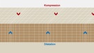 Infografik: Seismische Wellen / P-Welle bei einem Erdbeben | Bild: Infografik: BR
