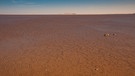 Wüstensee von Siwa | Bild: picture-alliance/dpa