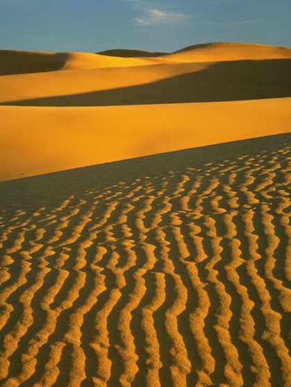 Sanddünen in der Wüste Sahara | Bild: picture-alliance/dpa