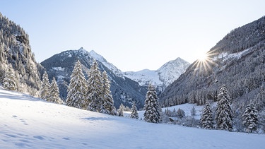 Winter in der Steiermark. Im Bild die bereits früh untergehende Sonne hinter mit Schnee bedeckten Bäumen im hinteren Untertal bei Rohrmoos, Schladming.  | Bild: picture-alliance/dpa