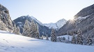 Winter in der Steiermark. Im Bild die bereits früh untergehende Sonne hinter mit Schnee bedeckten Bäumen im hinteren Untertal bei Rohrmoos, Schladming.  | Bild: picture-alliance/dpa
