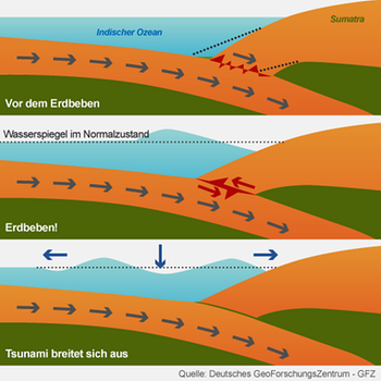 Infografik: Entstehung eines Tsunami | Bild: BR