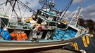 Ein gestrandetes Fischerboot in Kesennuma im Nordosten Japans nach dem schweren Erdbeben und Tsunami vom 11. März 2011. Starke seismische Aktivitäten und Verschiebungen tektonischer Platten können riesige Flutwellen, japanisch: Tsunamis auslösen. | Bild: picture-alliance/dpa