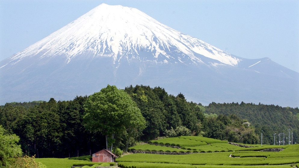 Vulkantyp Schichtvulkan: Der Vulkan Fudschijama in Japan | Bild: picture-alliance/dpa