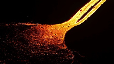 Bei einem Auspruck fließt aus einem Vulkan Lava | Bild: picture-alliance/dpa