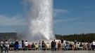 Vulkanismus: Touristen bestaunen einen Geysir im Yellowstone National Park | Bild: picture-alliance/dpa