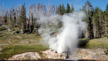 Geisir im Yellowstone National Park | Bild: picture-alliance/dpa