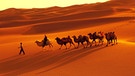 Kamele in der Wüste Taklamakan - eine Binnenwüste | Bild: picture-alliance/dpa