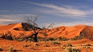 Wüste Namib | Bild: picture-alliance/dpa