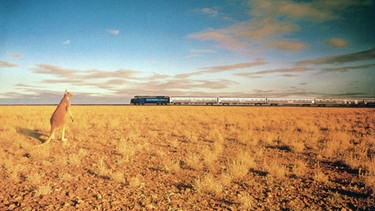 Zug der Indian Pacific Railway in der australischen Nullarbor Plain - einer Wüste ohne Baum | Bild: picture-alliance/dpa