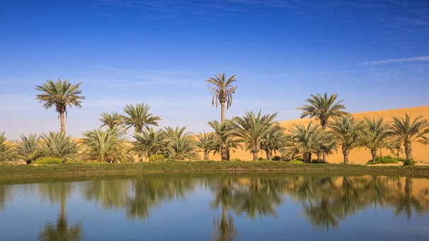 Oase in der Wüste in Abu Dhabi | Bild: picture alliance / robertharding