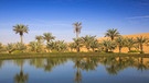Oase in der Wüste in Abu Dhabi | Bild: picture alliance / robertharding