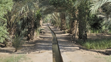 Wasser für die Wüste: Bewässerungskanal Quanat Foggara | Bild: picture-alliance/dpa