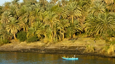 Mitten in der Wüste: Flussoase Nil zwischen Luxor und Assuan | Bild: picture-alliance / Rainer Hacken