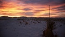 Sonnenuntergang in der Chihuahua-Wüste | Bild: picture-alliance/dpa