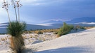 Nationalpark White Sands in der Chihuahua-Wüste | Bild: picture-alliance/dpa
