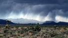 Platzregen in der kalifornischen Mojave-Wüste | Bild: picture-alliance/dpa